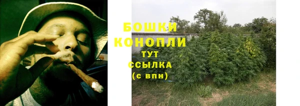хмурый Бородино