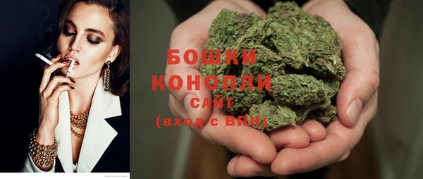 хмурый Бородино