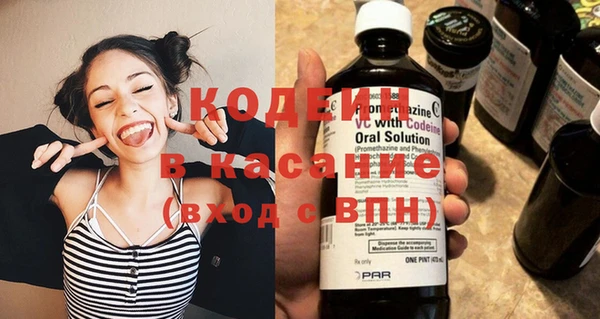 хмурый Бородино