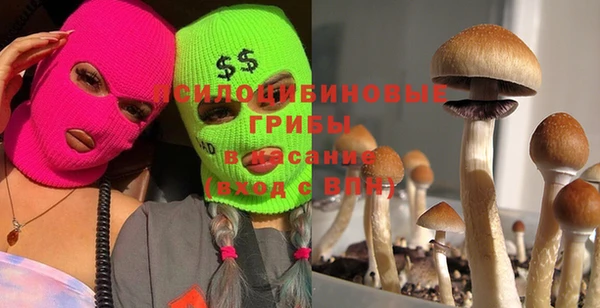 бутират Богданович