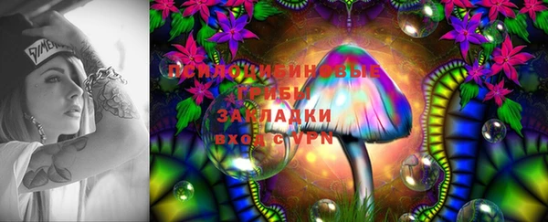 прущий лед Белоозёрский