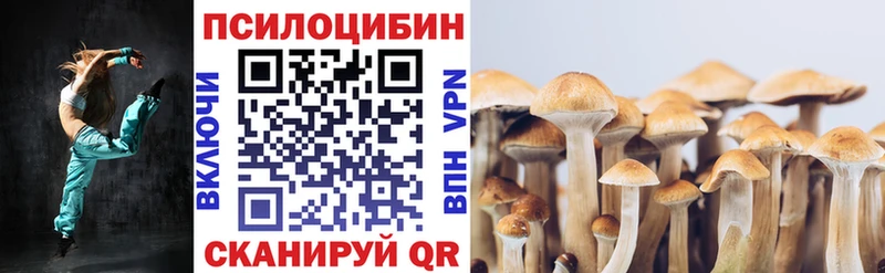 Псилоцибиновые грибы MAGIC MUSHROOMS это какой сайт Гай как найти закладки