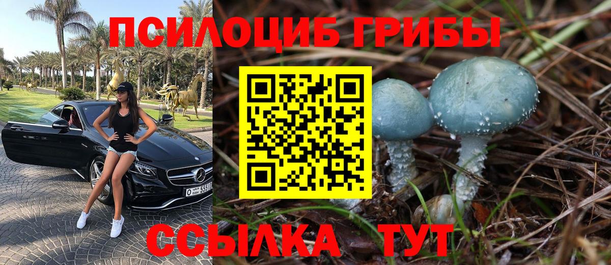 Псилоцибиновые грибы мицелий Гай