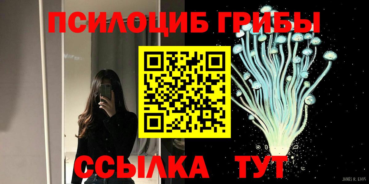 Галлюциногенные грибы Magic Shrooms  Вход с VPN  Гай  Псилоцибиновые грибы Cubensis 